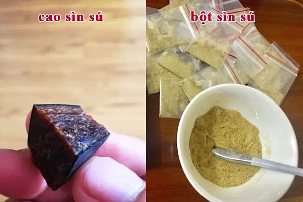 Sìn sú là gì? Thực hư tác dụng của sìn sú với sức khỏe